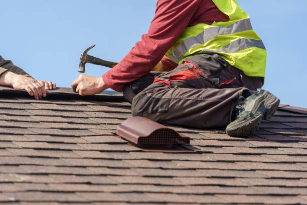 Best Roof Gutter Cleaning  in Country Lake Estates, NJ